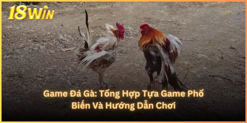 18win trang đá gà uy tín hàng đầu hiện nay