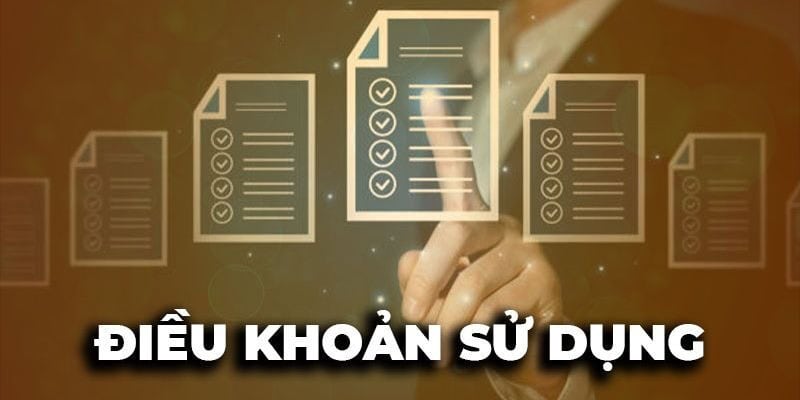 Điều khoản sử dụng và quy tắc liên quan